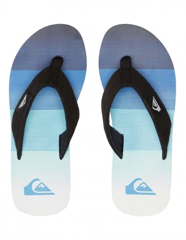 Quiksilver Molokai Layback II BYJ6