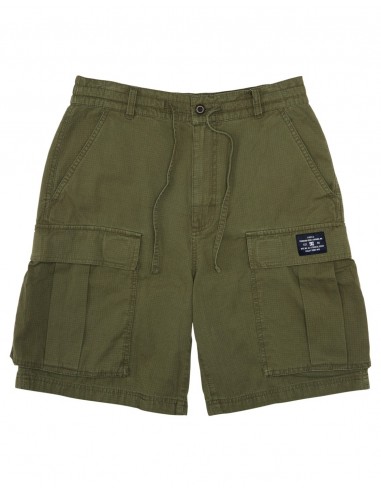 DC Tundra Cargo Short