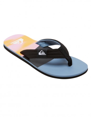 Quiksilver Molokai Layback XBBN